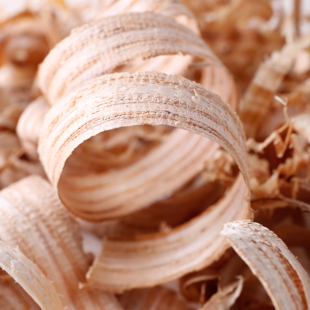 Κοντινή λήψη από κυρτά ροκανίδια ξύλου με ζεστές φυσικές αποχρώσεις και εμφανείς ίνες.